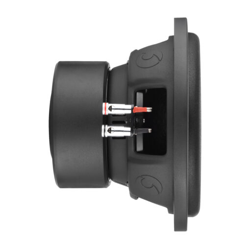 IndyS10/2 - Subwoofer 25 cm 1000 W rms 2+2 OHM - immagine 8