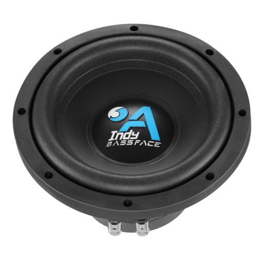 IndyA10/4 Subwoofer 25 cm 4 ohm High Quality - immagine 3