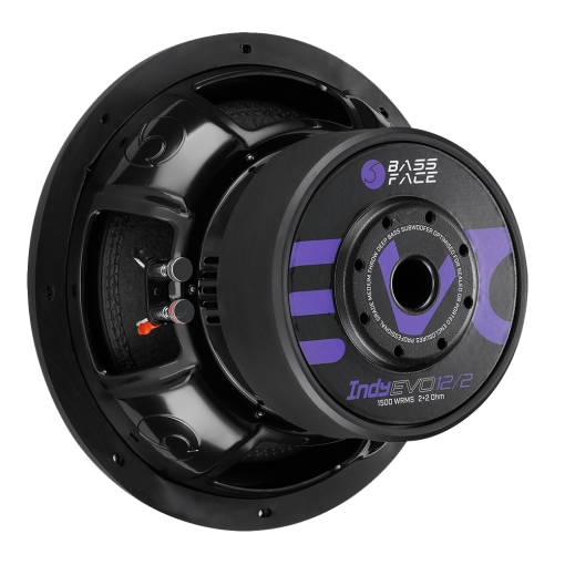 Subwoofer 32 cm IndyEVO12/2 1500 w rms 2+2 OHM - immagine 6