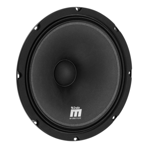 IndyM10/4 - Midrange 25 cm 10" 250 w rms 4 ohm Wide Range - 1 Pz - immagine 2
