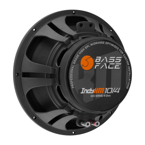 IndyXM10/4 - Coppia Midrange 25 cm 4 ohm 320 w rms High Spl Competition - PAIR - immagine 5