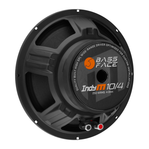 IndyM10/4 - Midrange 25 cm 10" 250 w rms 4 ohm Wide Range - 1 Pz - immagine 3