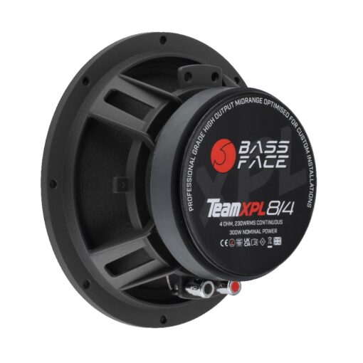 TeamXPL8/4 - Midbass 20 cm - 300 w rms- wide range High Spl - Singolo - immagine 5