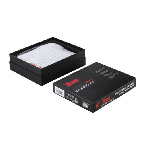 Team3000/X1DFR - Amplificatore 3000W RMS mono Full range - 12v Power Amplifier 3 KW - immagine 9